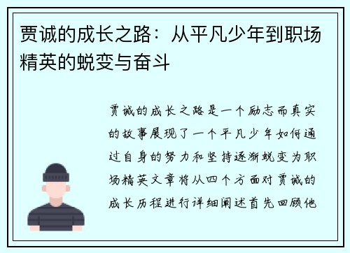 贾诚的成长之路：从平凡少年到职场精英的蜕变与奋斗