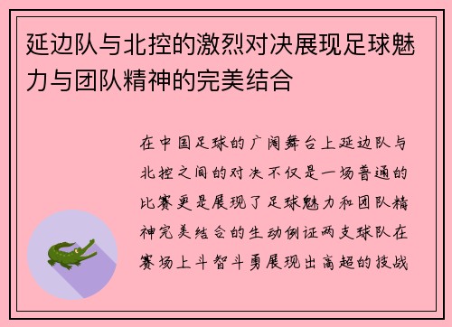 延边队与北控的激烈对决展现足球魅力与团队精神的完美结合