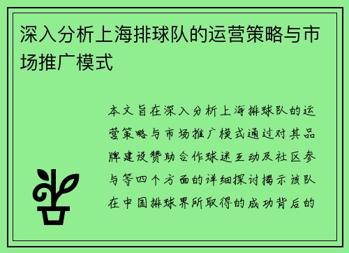 深入分析上海排球队的运营策略与市场推广模式
